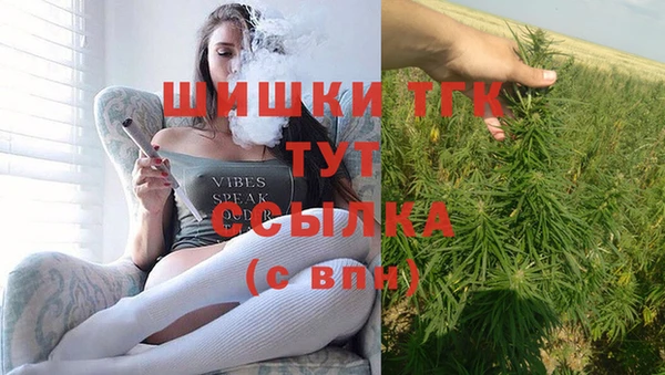 индика Куйбышев