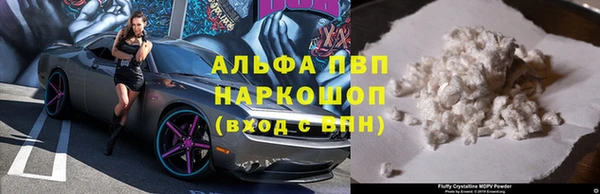 индика Куйбышев