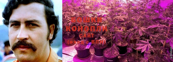 индика Куйбышев