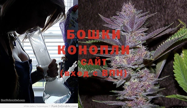 бошки Краснослободск