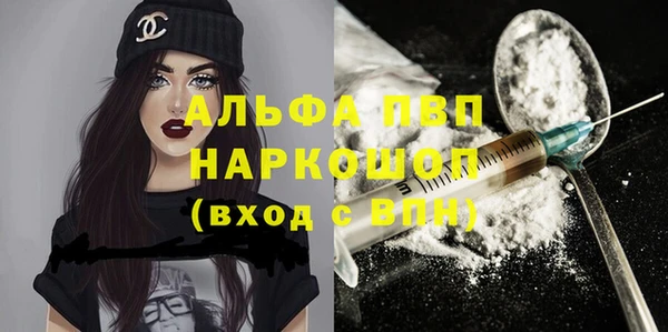 индика Куйбышев