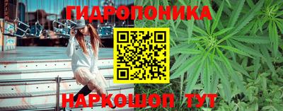соль курить ск Бийск