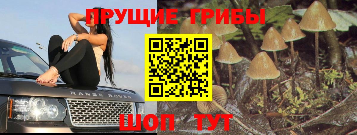 Магадан  Галлюциногенные грибы ЛСД  Вход с VPN 